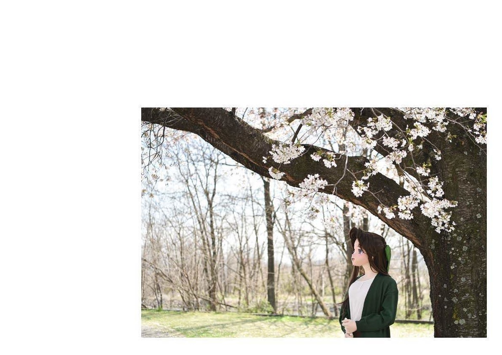 「春 遠きかな 第一集」艦隊これくしょん着ぐるみ写真集(軽巡 神通)