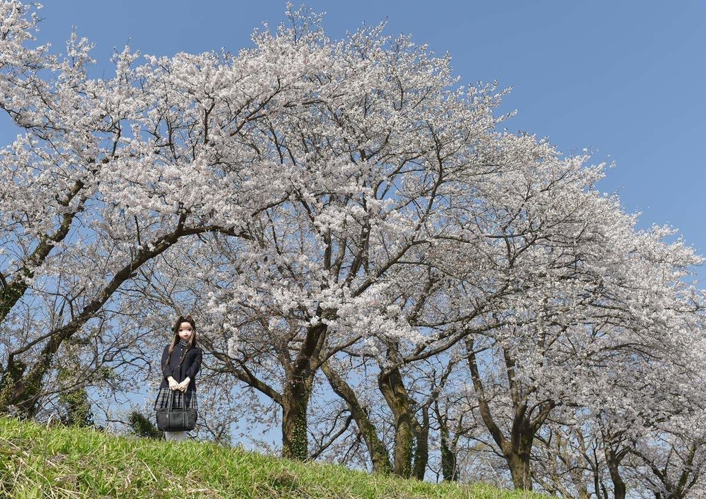 「春 遠きかな 第二集」艦隊これくしょん着ぐるみ写真集(軽巡 神通)