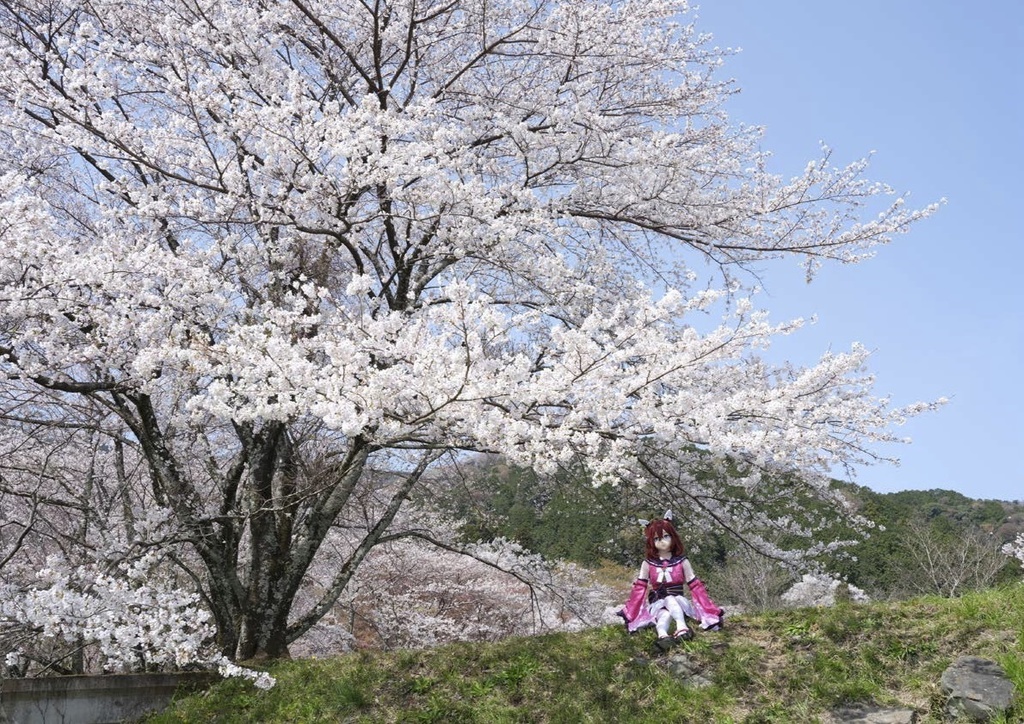 ウマ娘サクラチヨノオー着ぐるみ写真集「さくらひらり」