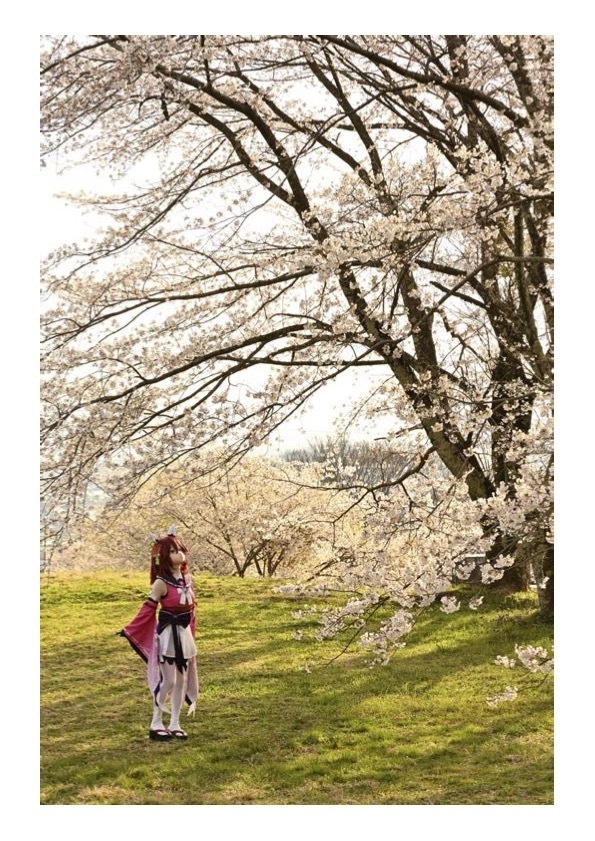 ウマ娘サクラチヨノオー着ぐるみ写真集「さくらひらり」