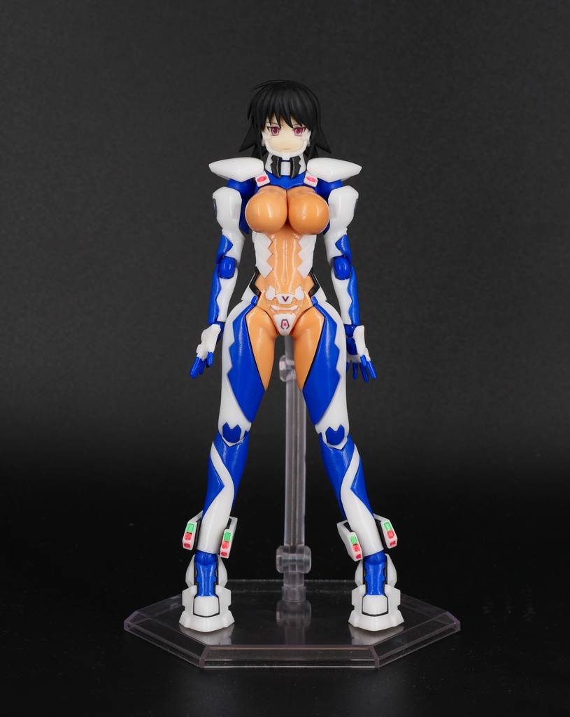 可動『彩峰 慧 99式衛士強化装備訓練兵仕様』