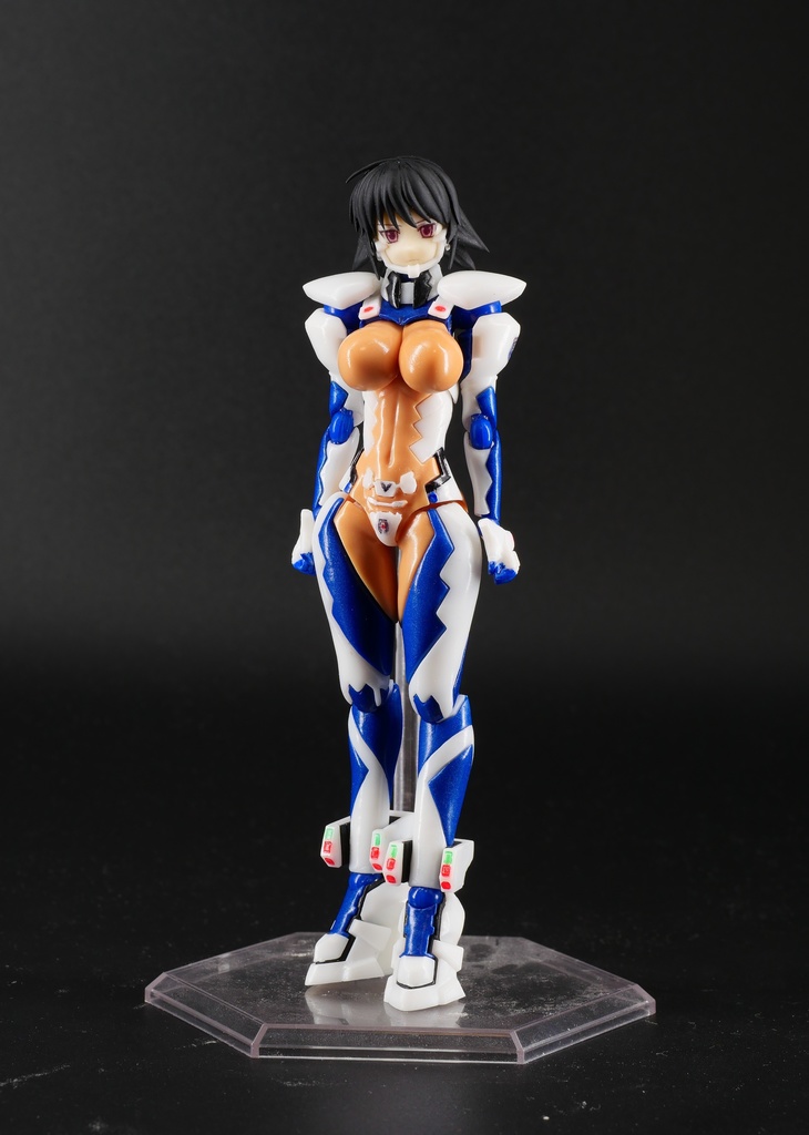 可動『彩峰 慧 99式衛士強化装備訓練兵仕様』