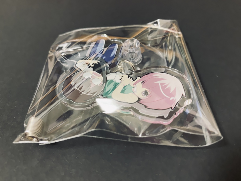 【アクリル】腕ひしぎ【スイング】