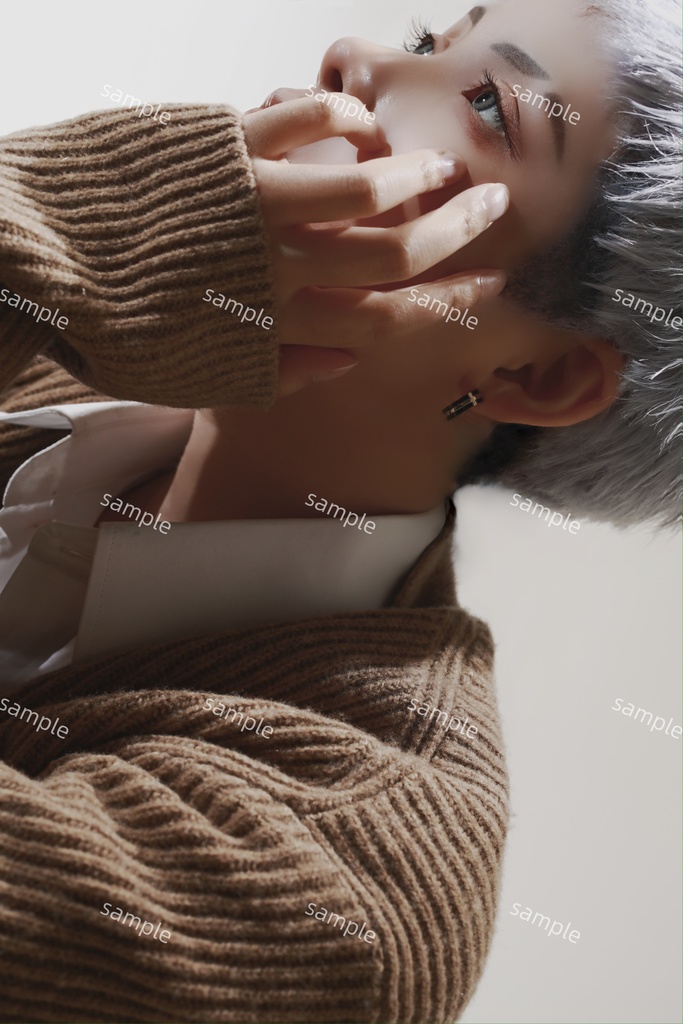 ブロマイド 全10種