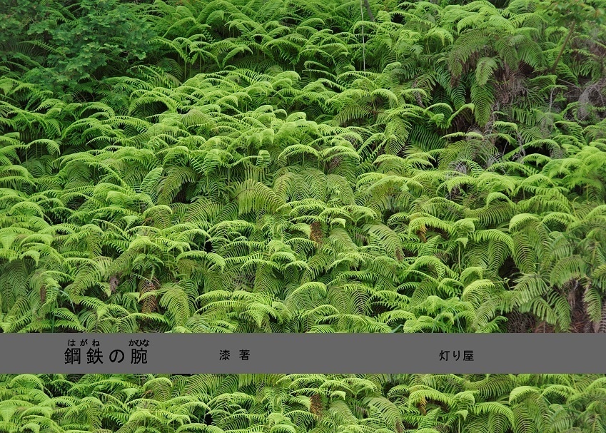 小説『鋼鉄の腕(はがねのかひな)』