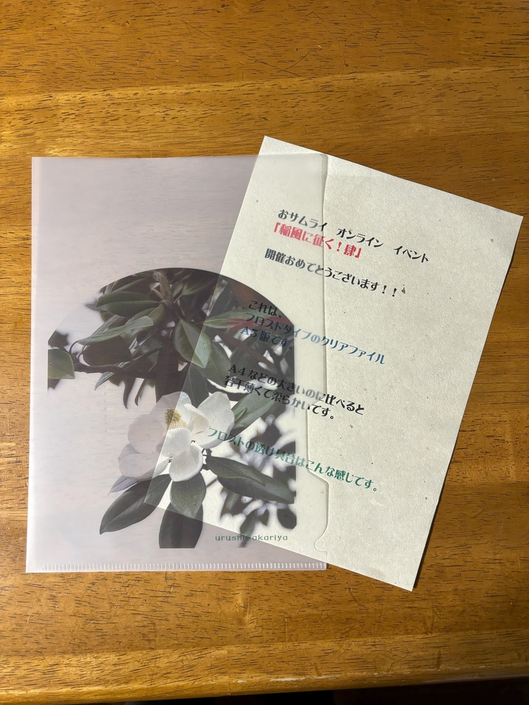 A5版フロストクリアファイル