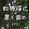 文章見本 『虹雅渓に置く露の(下巻)』