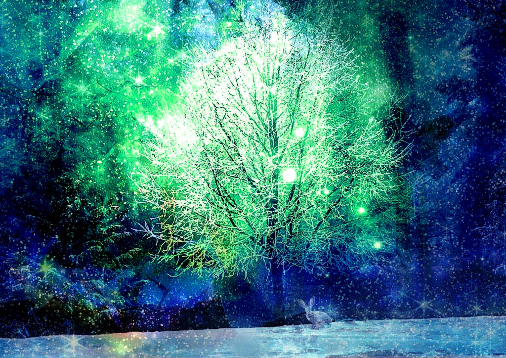 A4サイズ】雪の木とウサギ 幻想風景イラスト 小さな箱庭フィリリ オンラインショップ BOOTH
