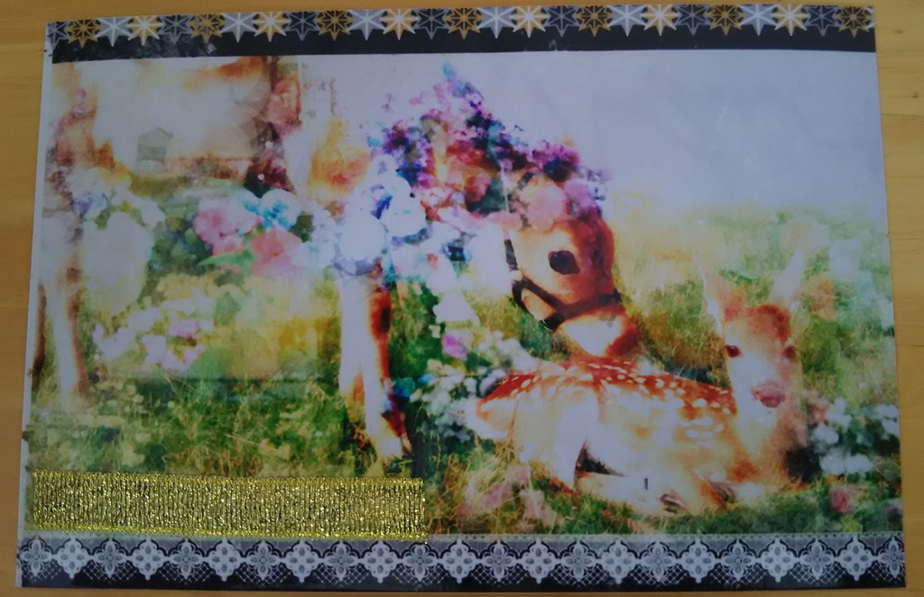 【ポストカード1枚】花冠のジャージー牛と小鹿