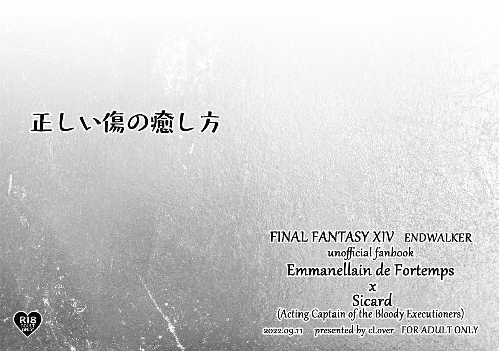 【FF14】正しい傷の癒し方