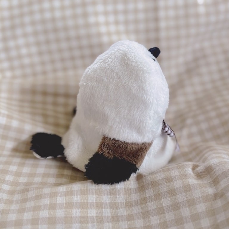 animal cape upasicir