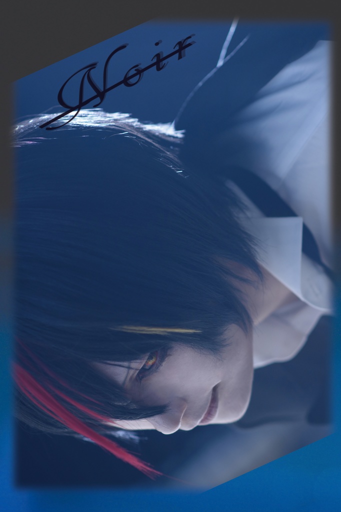 再版ディアブロフォトブック【Noir】