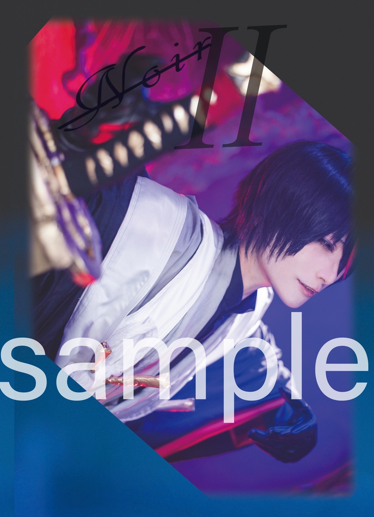 ディアブロ unofficia lfan Photobook 【Noir Ⅱ】