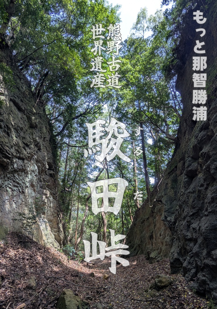 「もっと那智勝浦　駿田峠」