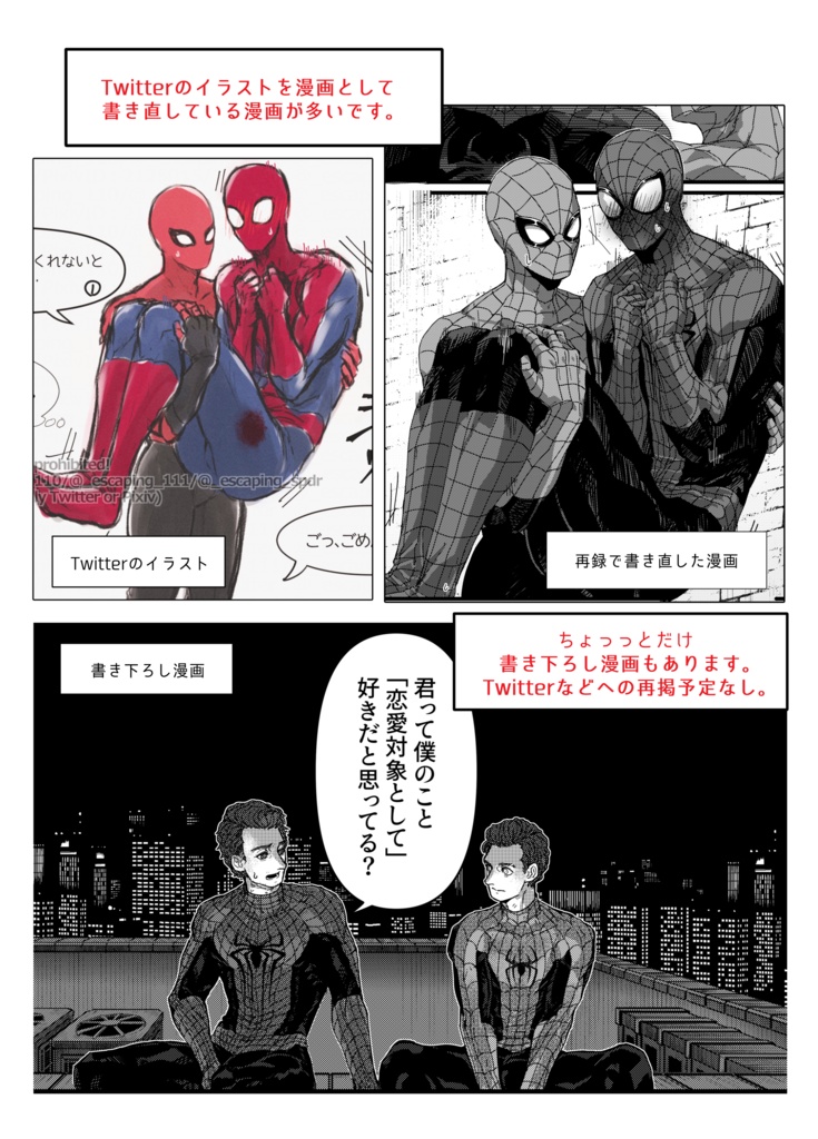 【🕷13】101P13【Web再録】