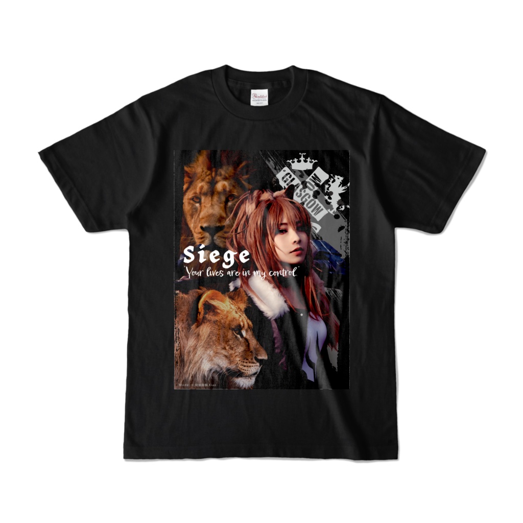 片面_シージ_siege