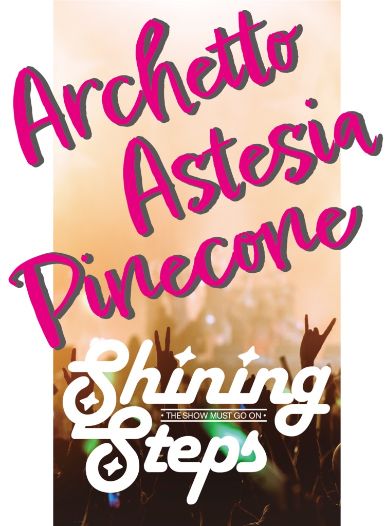 片面_シャイニングステップ_shiningstep