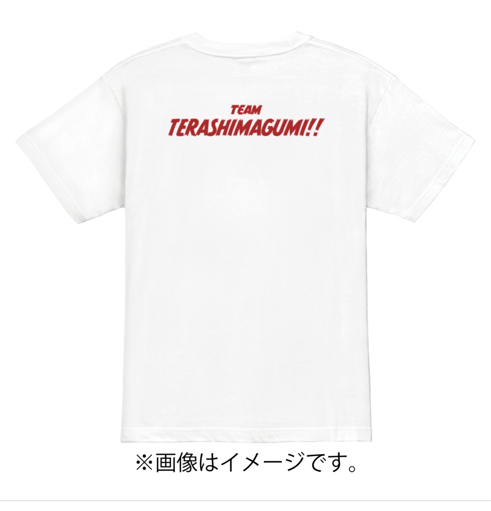【Tシャツ・匿名配送】寺島あかり 寺島組T