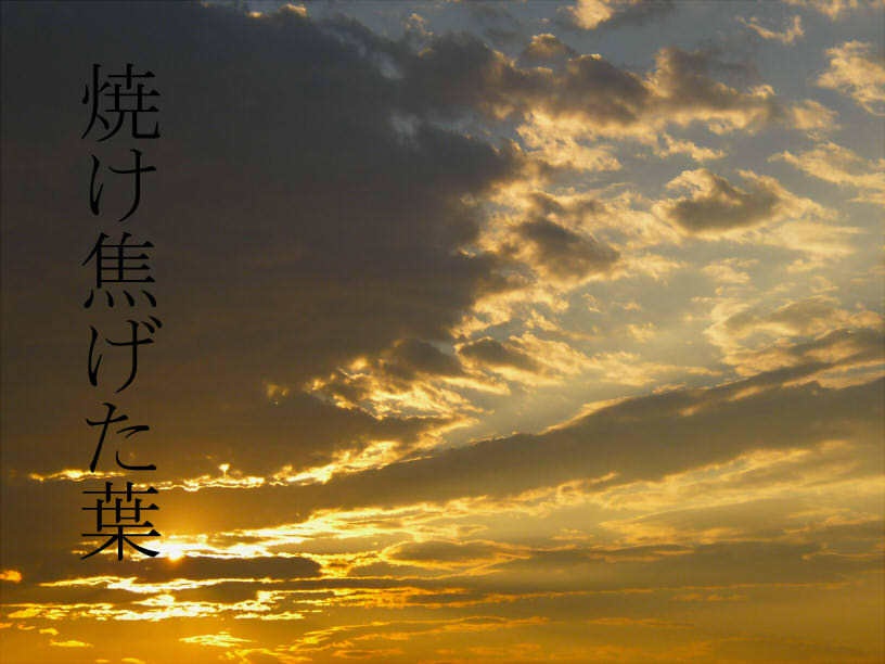 【創作小説】「焼け焦げた葉」(DL版)  ※おまけSS付き