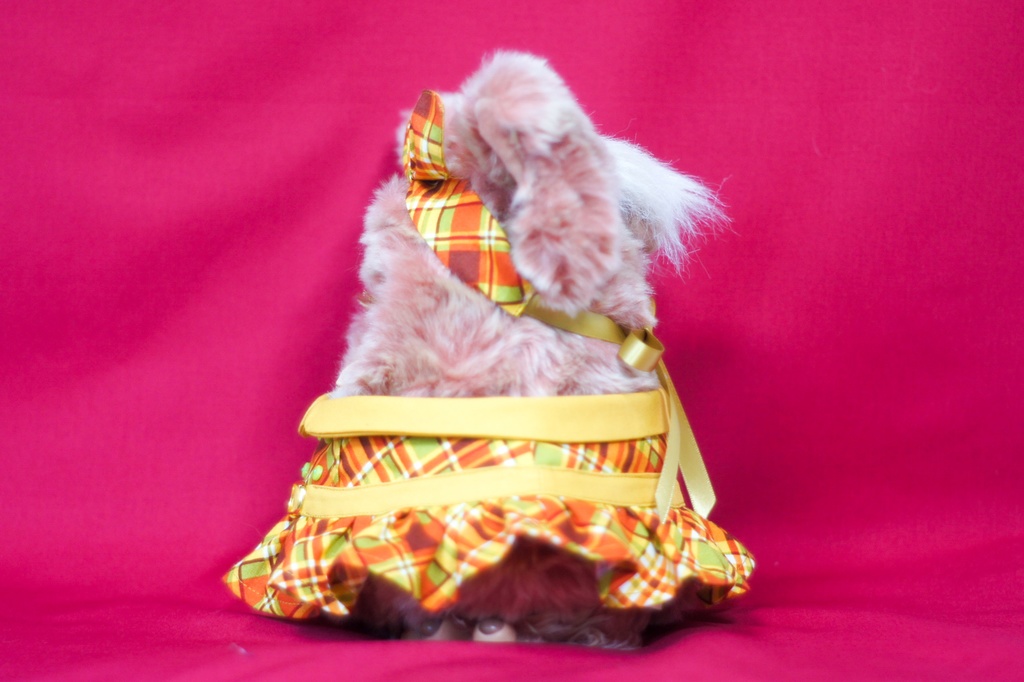 ꙳✧˖°ポップキャンディワンピース꙳✧˖°