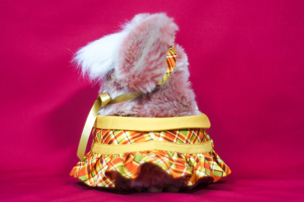 ꙳✧˖°ポップキャンディワンピース꙳✧˖°