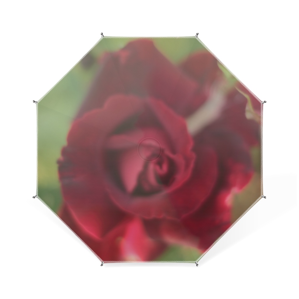 薔薇乙女
