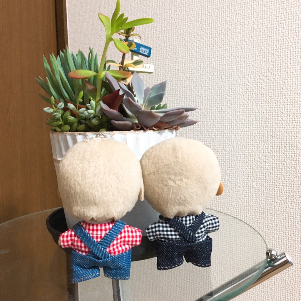 ギンガムチェックシャツ&サロペットセット