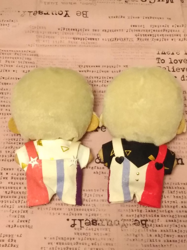 ぬい服【おーばーおーる&Tシャツ】