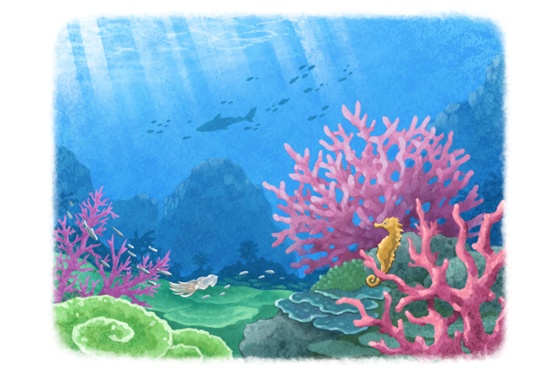 珊瑚礁 ポストカード