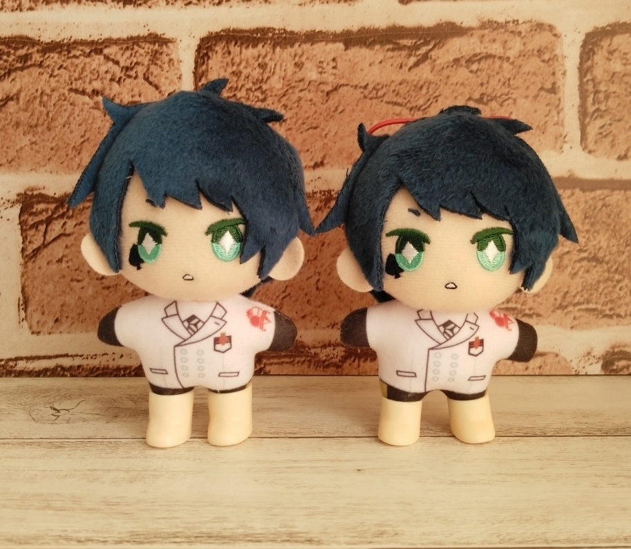 ぬいの素足(ショート・ロング)