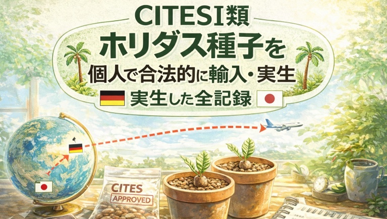 CITESⅠ類 ホリダス種子を 個人で合法的に輸入・実生した全記録 ― ドイツナーセリー × タイ経由／10粒からのリアル実践 ―