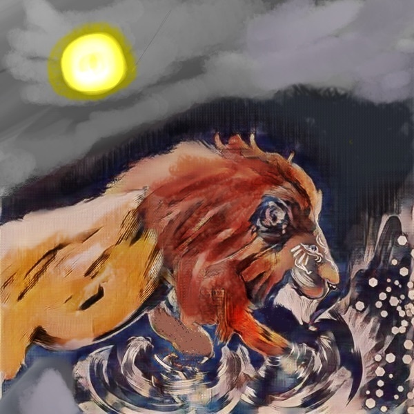 夜の水浴び