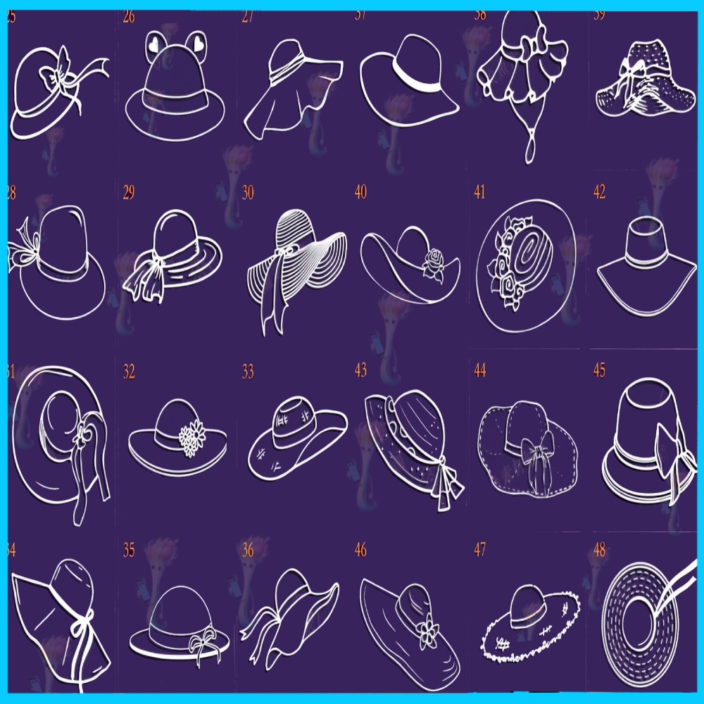 50種類の帽子ブラシセット」50 Brushes for Hats and Caps