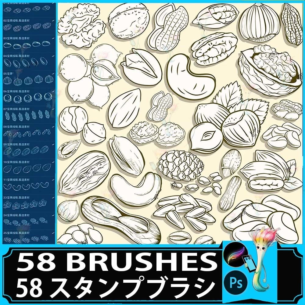 Procreate&Photoshop用ナッツ・ナッツブラシセット58種類 - 食品イラスト素材