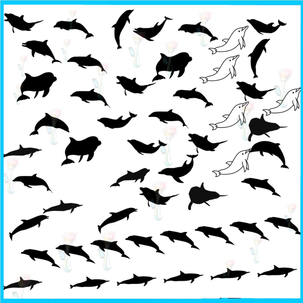 ProcreateとPhotoshop用のイルカ、クジラ、海洋生物ブラシセット48種類 - 海の生き物、背景、水族館のデザイン素材