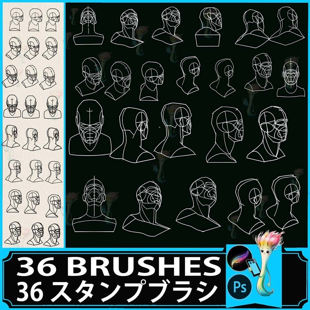 ProcreateとPhotoshop用の36種類の頭部と顔の解剖ブラシセット - 人物画、デッサン、イラスト素材