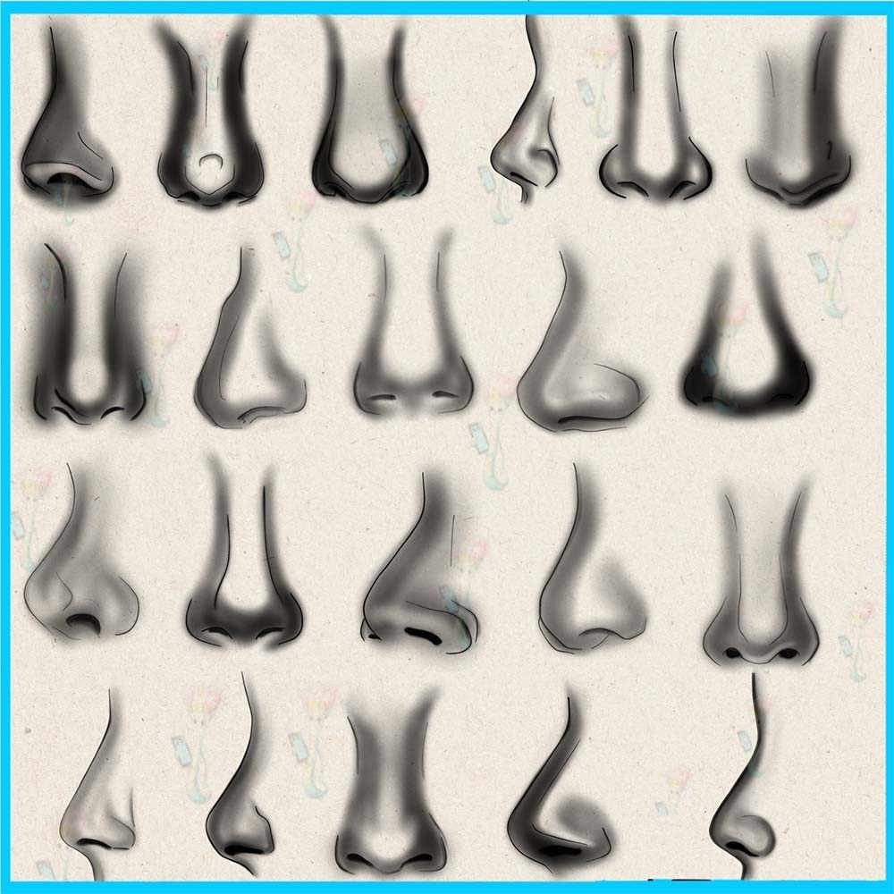 ProcreateとPhotoshop用のリアルな鼻ブラシ40種類セット - ポートレート、顔パーツ、モデリング、線画補助素材