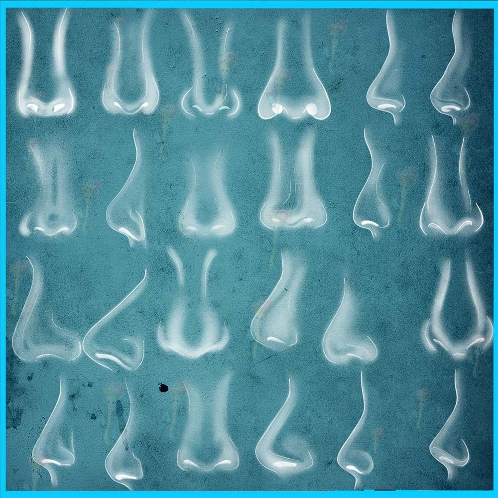 ProcreateとPhotoshop用のリアルな鼻ブラシ40種類セット - ポートレート、顔パーツ、モデリング、線画補助素材