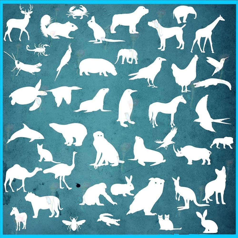 プロクリエイト&Photoshop用 160種 動物シルエットブラシセット - 鶏・アヒル・犬・鳥・昆虫・装飾パターン素材