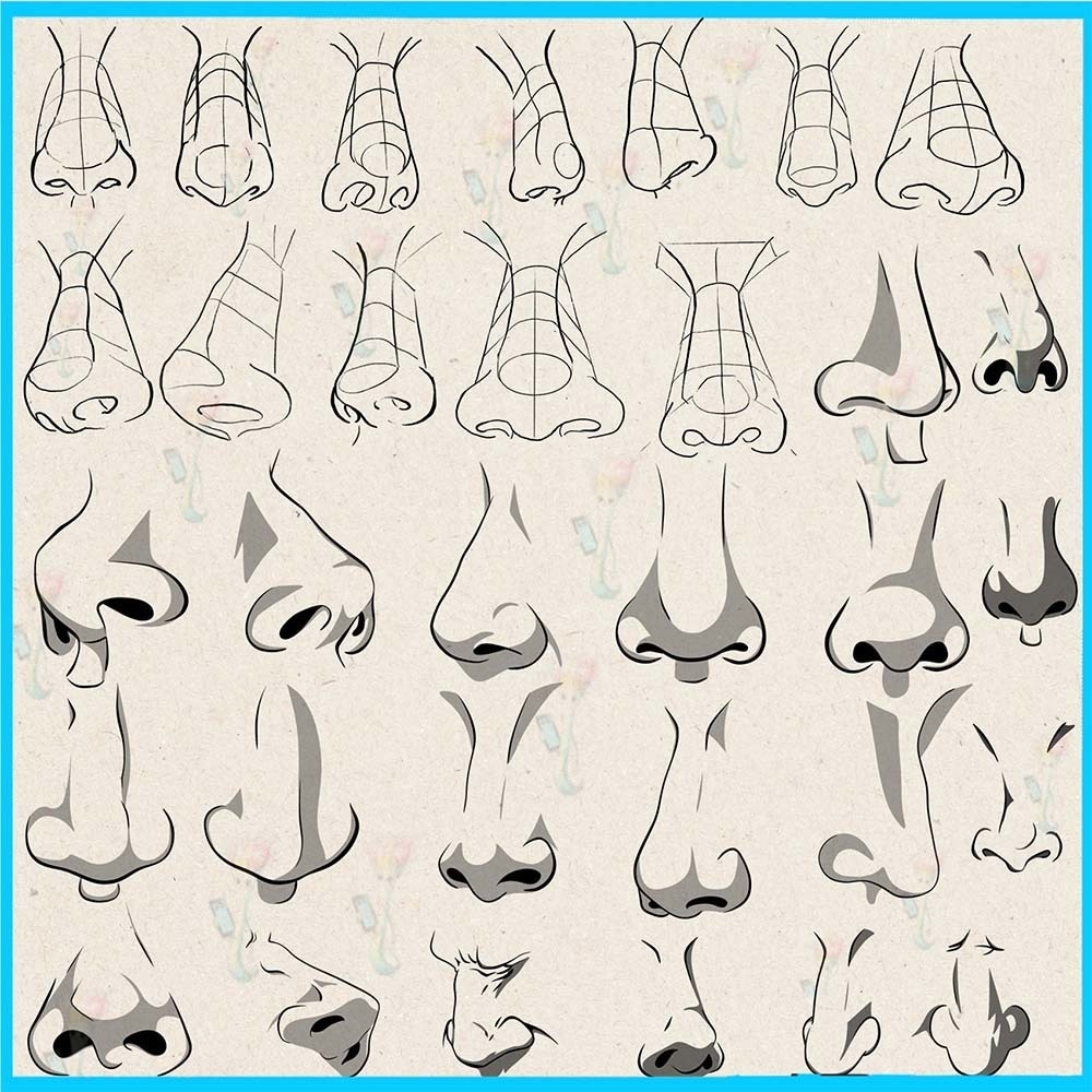 プロクリエイト&Photoshop用 60種 鼻の描画補助ブラシセット - ポートレート・顔のパーツ・多角度・線画素材