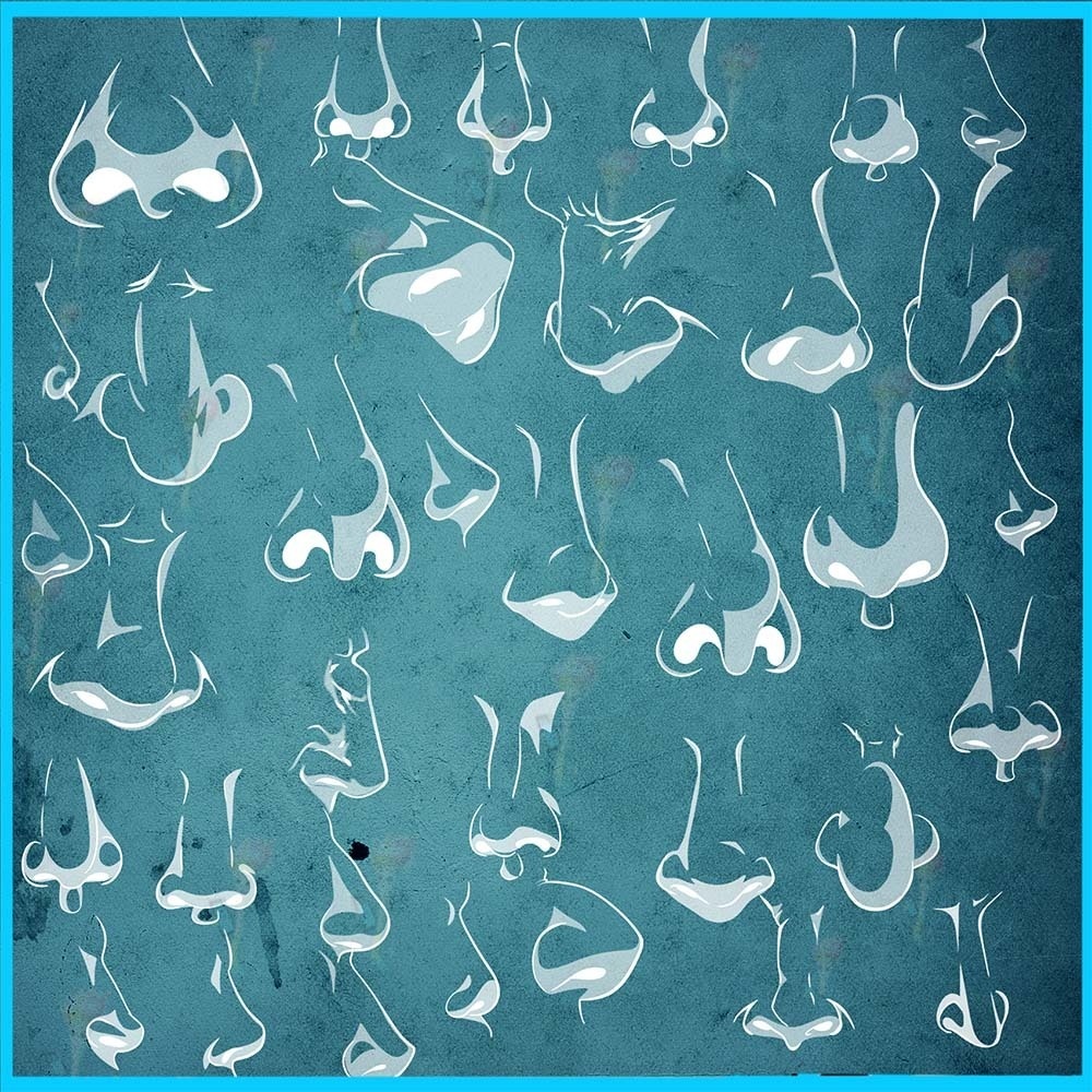 プロクリエイト&Photoshop用 60種 鼻の描画補助ブラシセット - ポートレート・顔のパーツ・多角度・線画素材