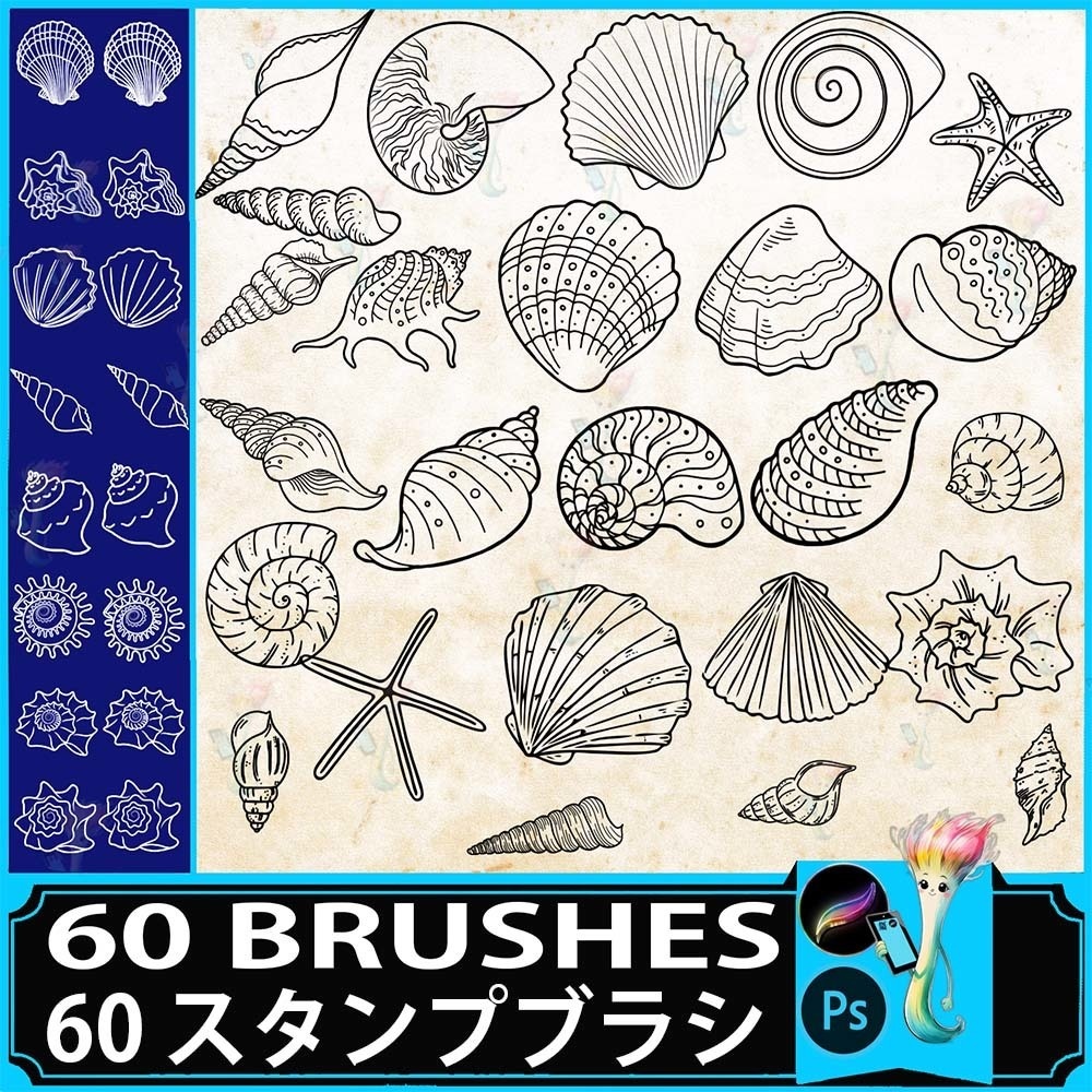 ProcreateとPhotoshop用の60種類の貝殻と海洋生物ブラシセット - ヒトデ、ホタテ貝、手描きの線画