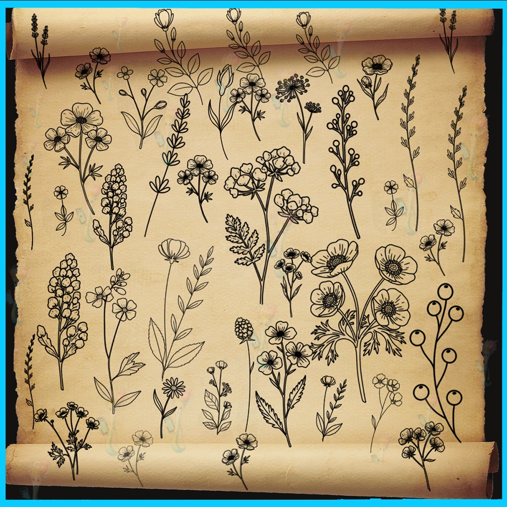 種 Procreate/Ps 花・植物スケッチ線画スタンプ集 - タトゥー&ボタニカルデザイン素材