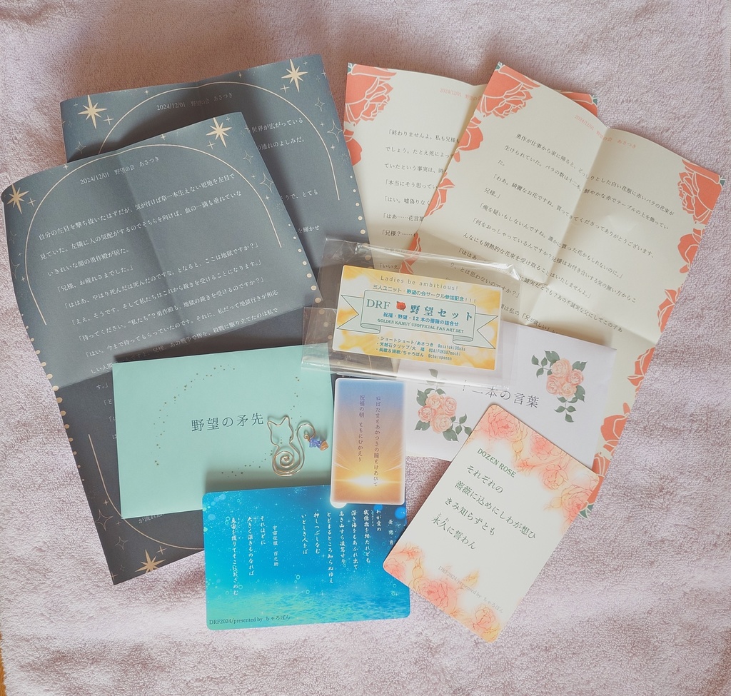 野望セット(DRF2024参加記念)