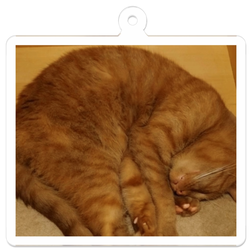アクリルキーホルダー ねこ お昼寝 50ミリ