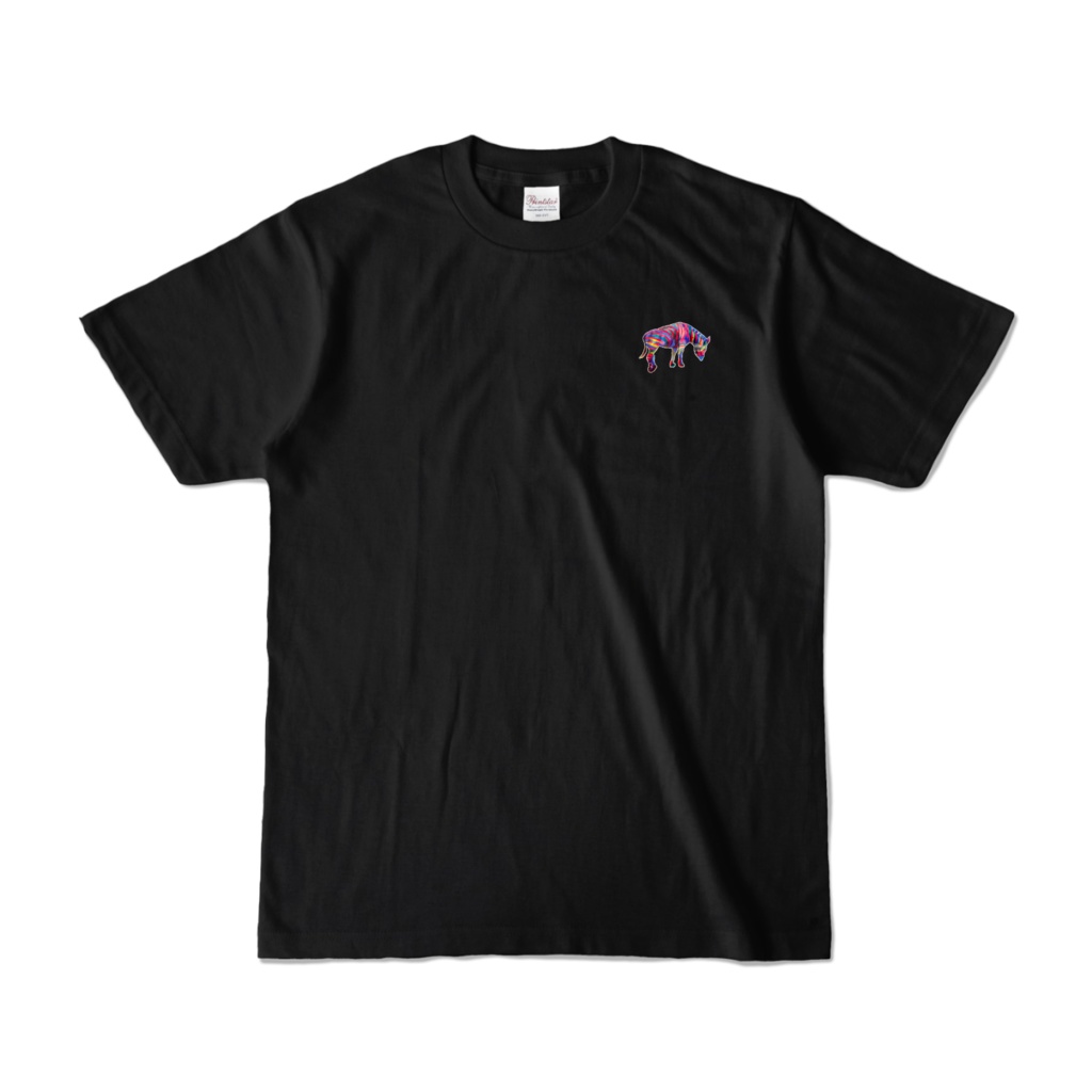 カラーTシャツ レインボージブラ