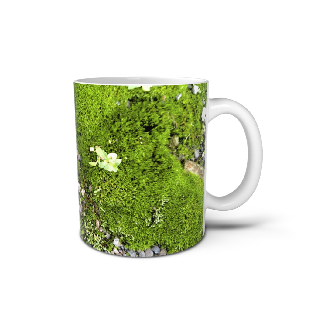 苔のマグカップ - 直径 8 cm / 高さ 9.5 cm