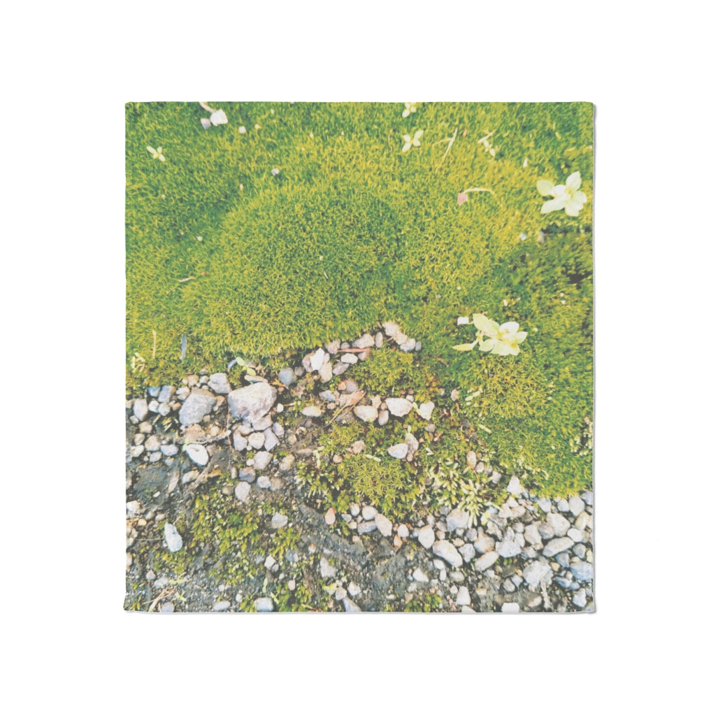 苔のタオル - 大