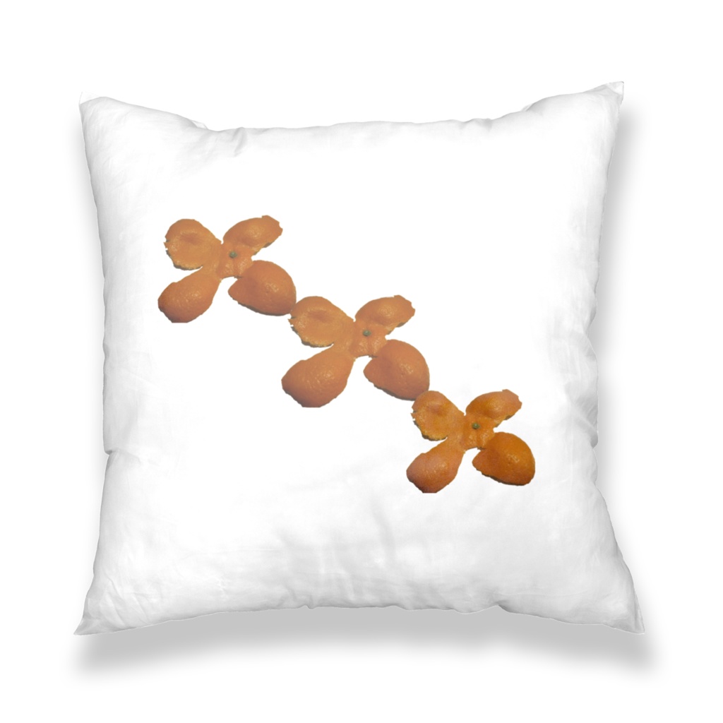 ミカンの皮クッションカバー