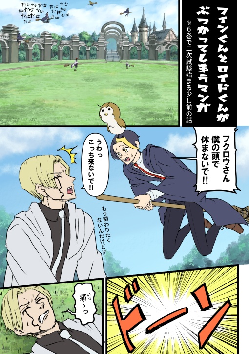 主にレイフィンの再録本